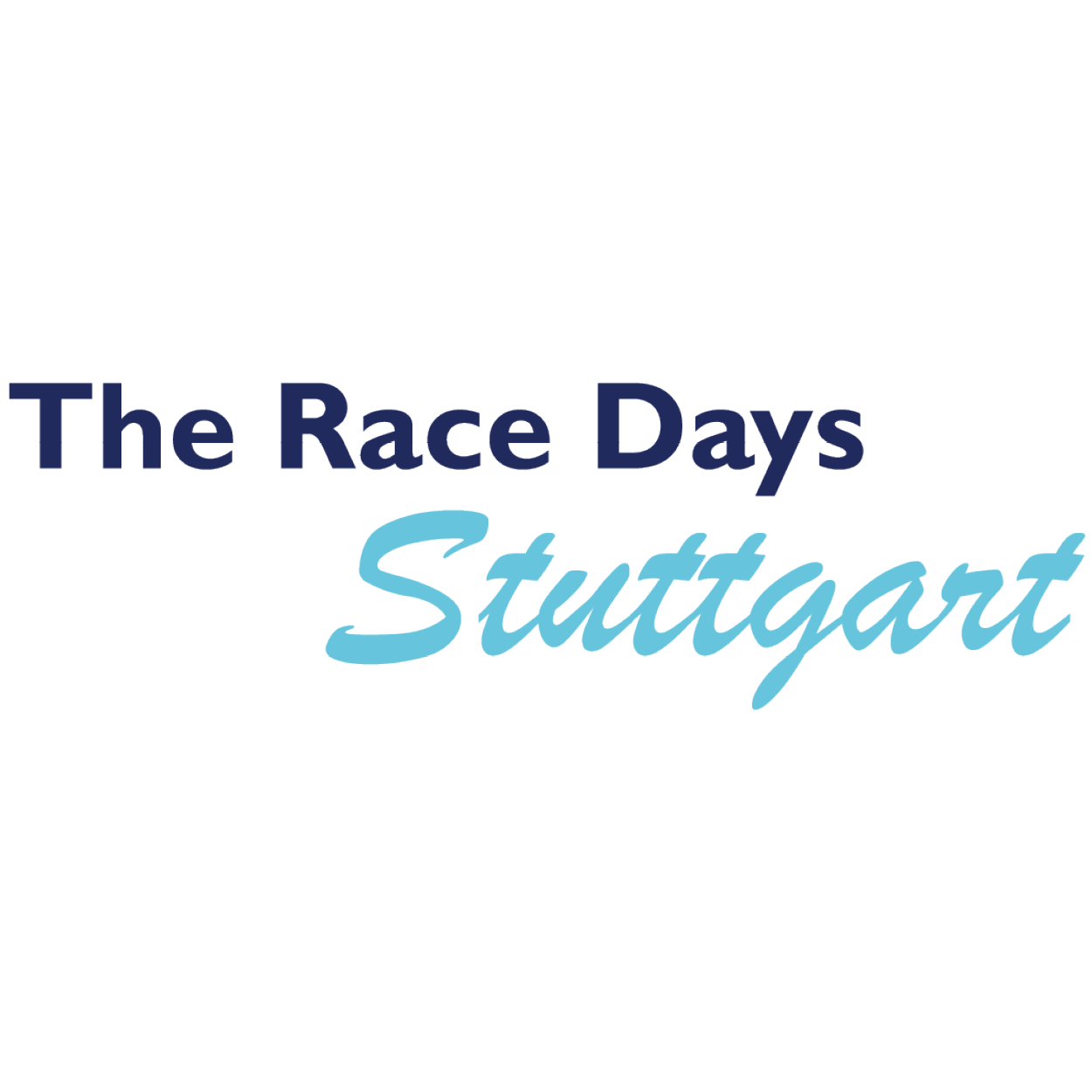 Partnerlogo The Race Days Stuttgart 300x300px5